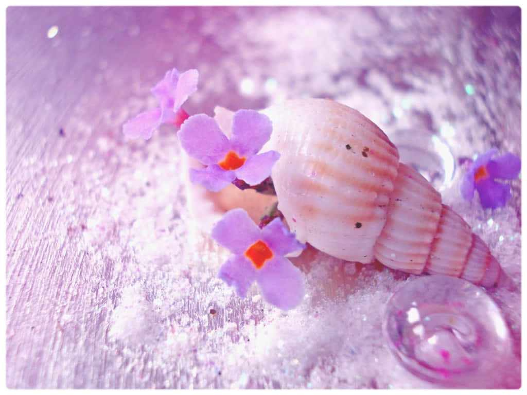 Seashell Light Purple Aesthetic Picture