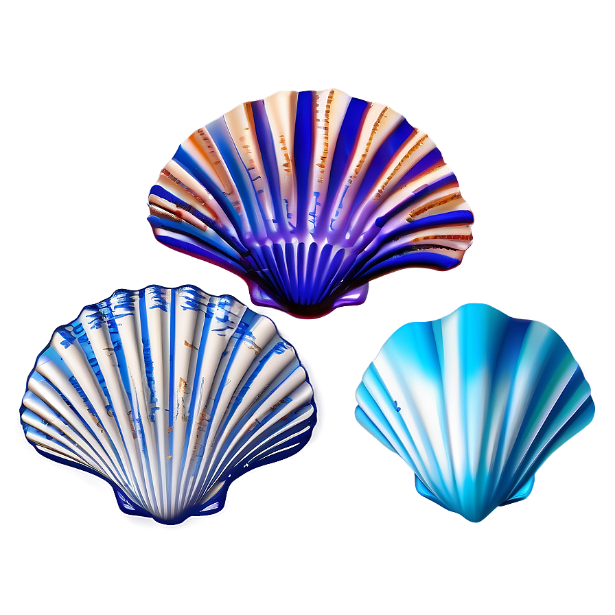 Seashell Sketches Png Jrq PNG