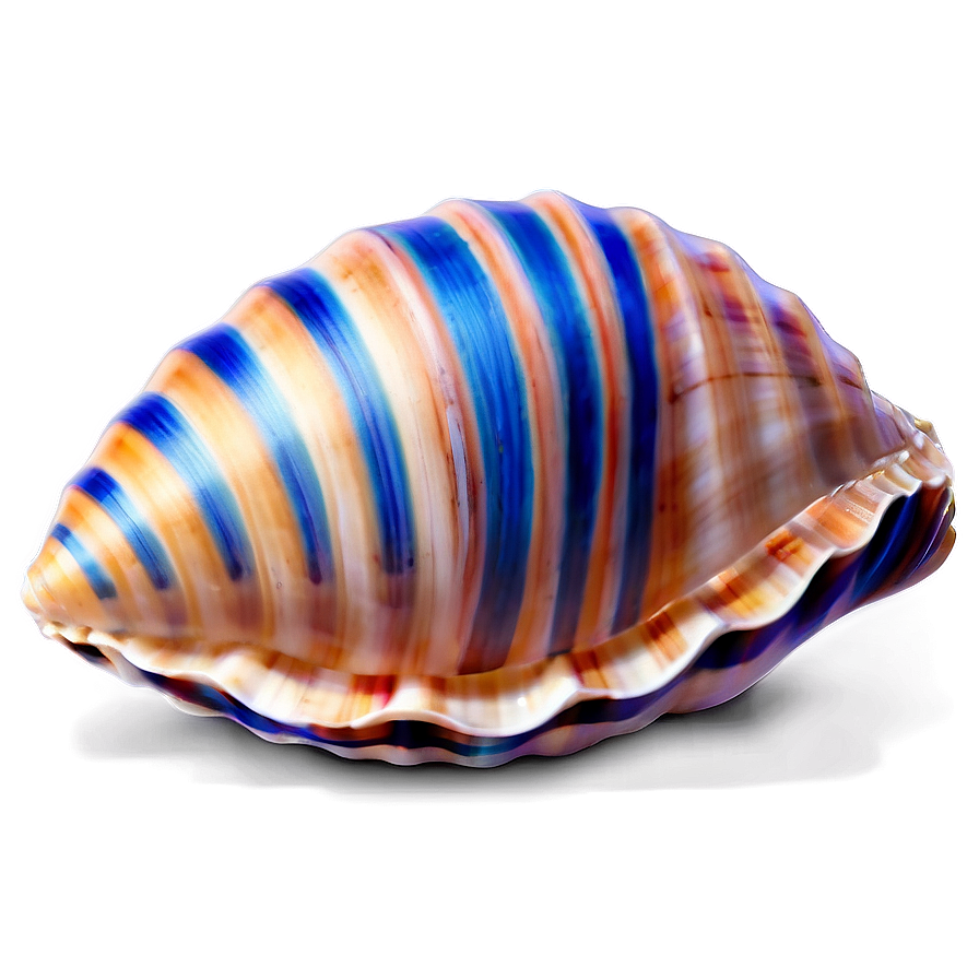 Seashell Summer Png 06132024 PNG