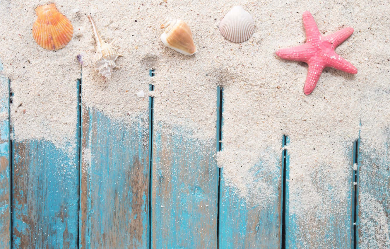 Seashells And Pink Starfish Wallpaper