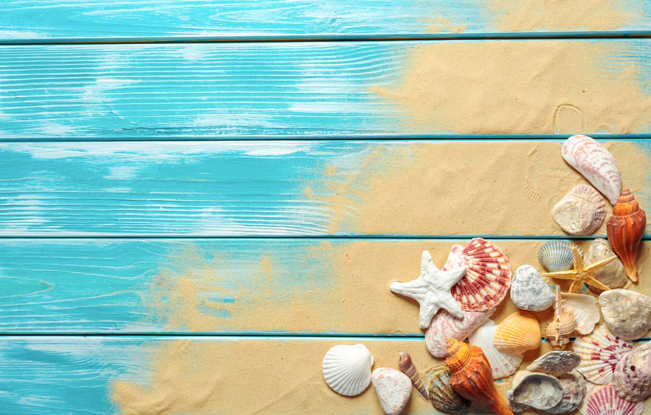 Premium AI Image  A beautiful seashell wallpaper with a beautiful pink  shell on the sand