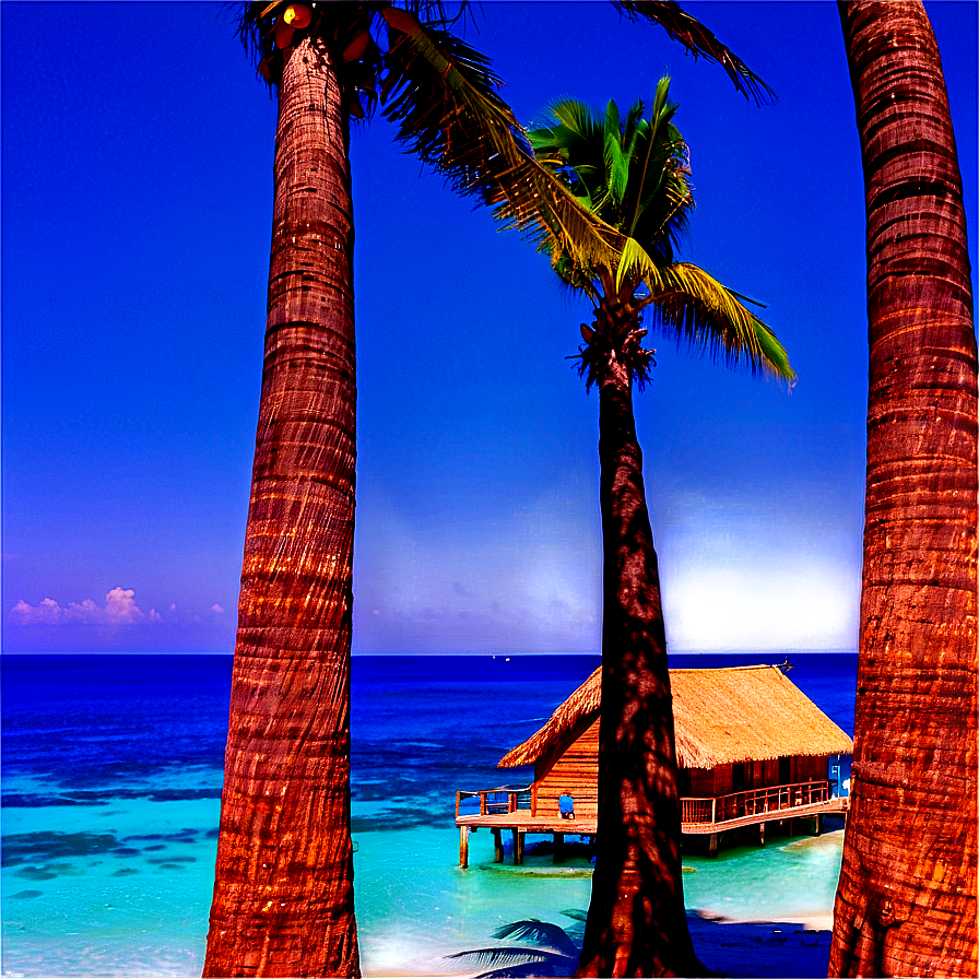 Seaside Palms View Png Udc35 PNG