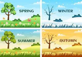 Seasons Of The Year Wallpaper