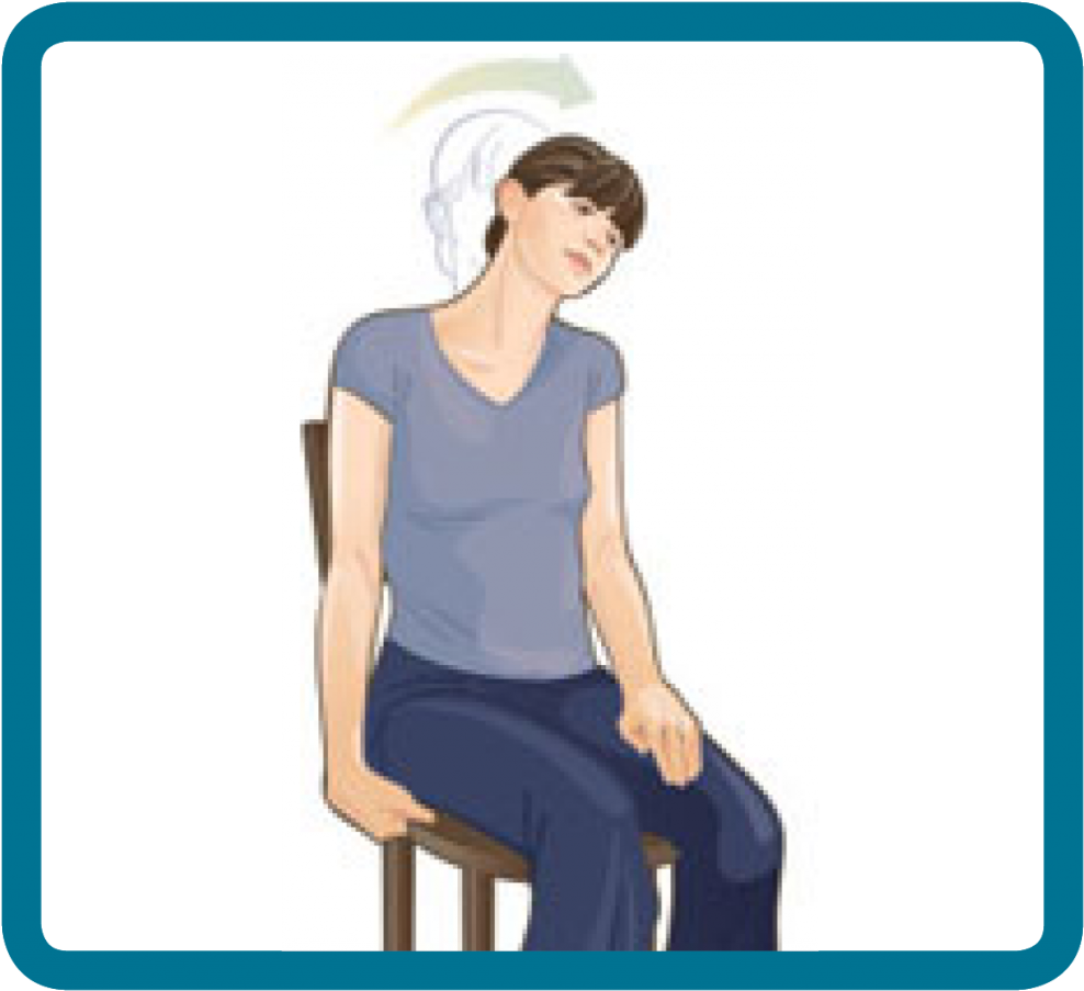 Seated Neck Stretch Illustration PNG