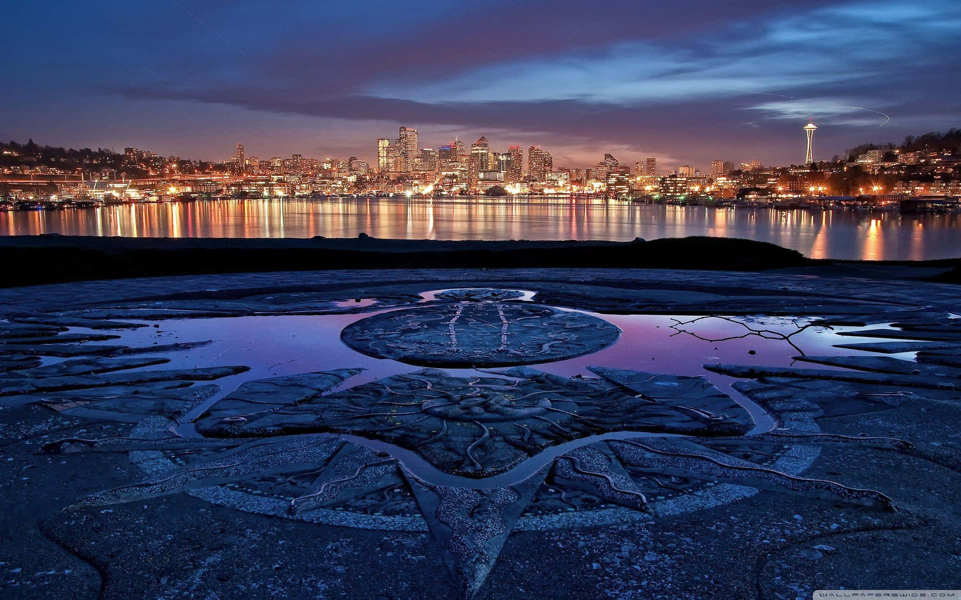 Godendosile Luci Della Città Di Seattle Di Notte Sfondo