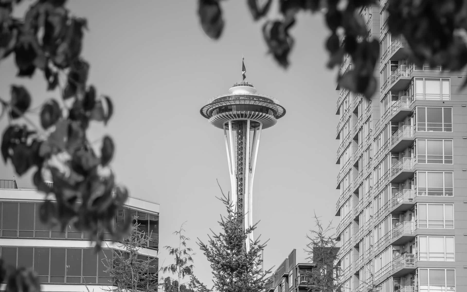 Space Needle Tower In Seattle Black And White Wallpaper