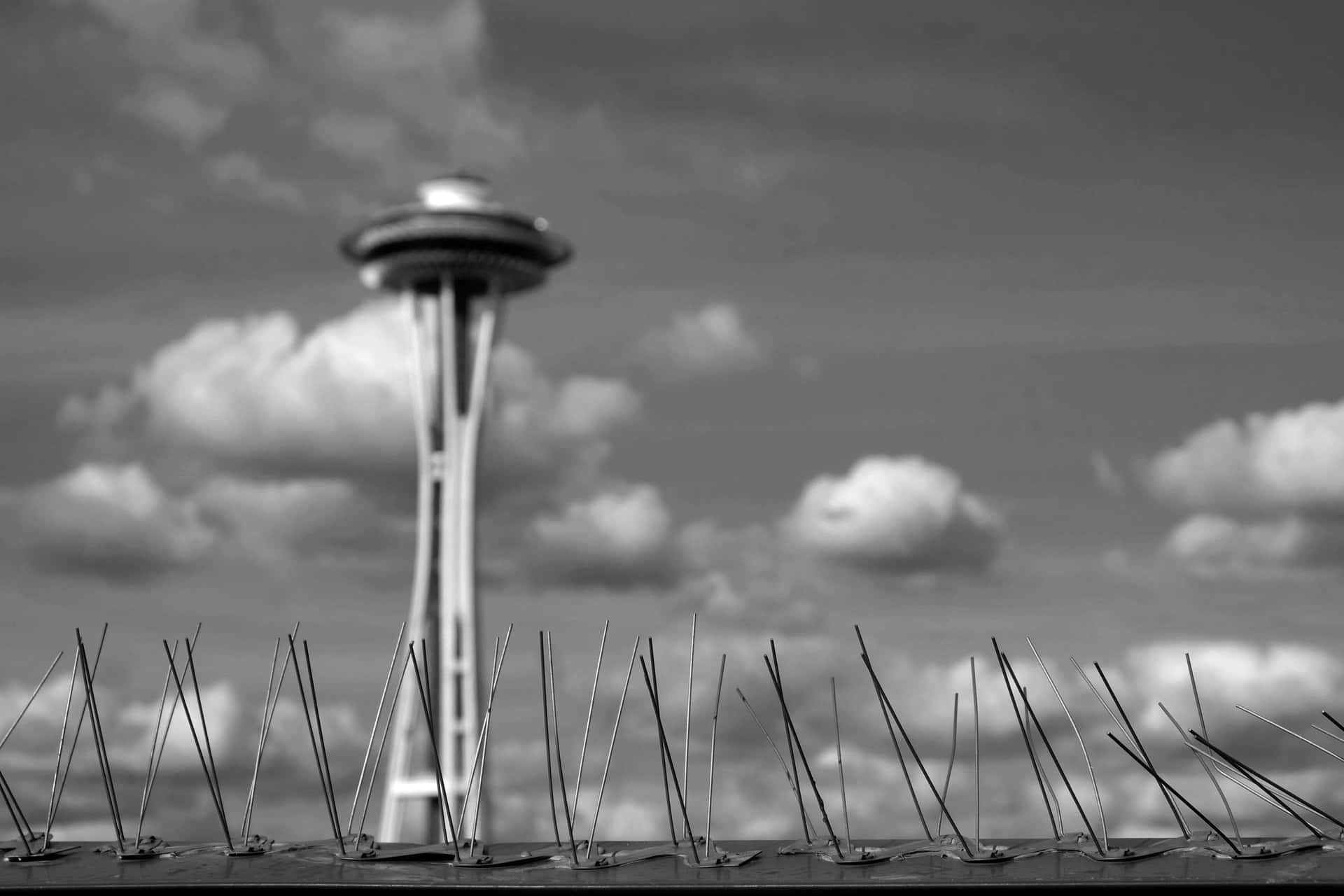 Space Needle In Black And White Wallpaper