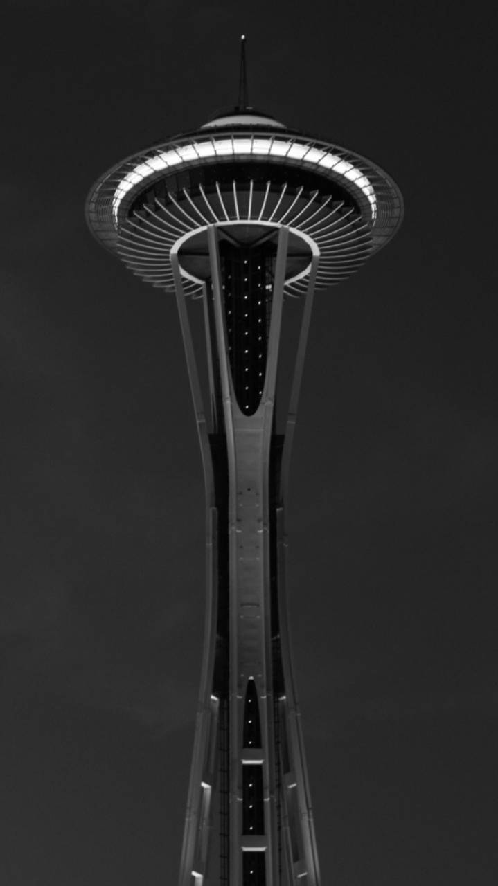 Seattle Iphone Elegant Space Needle