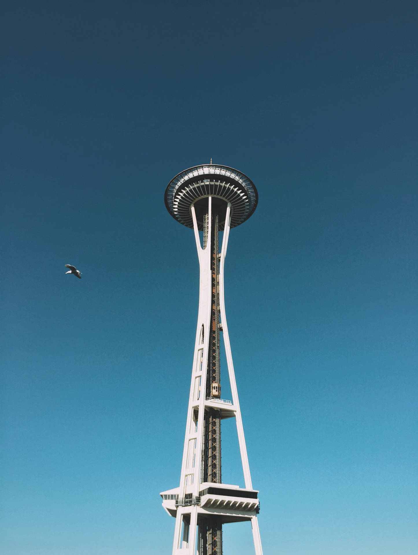 Seattle Iphone Space Needle Wallpaper