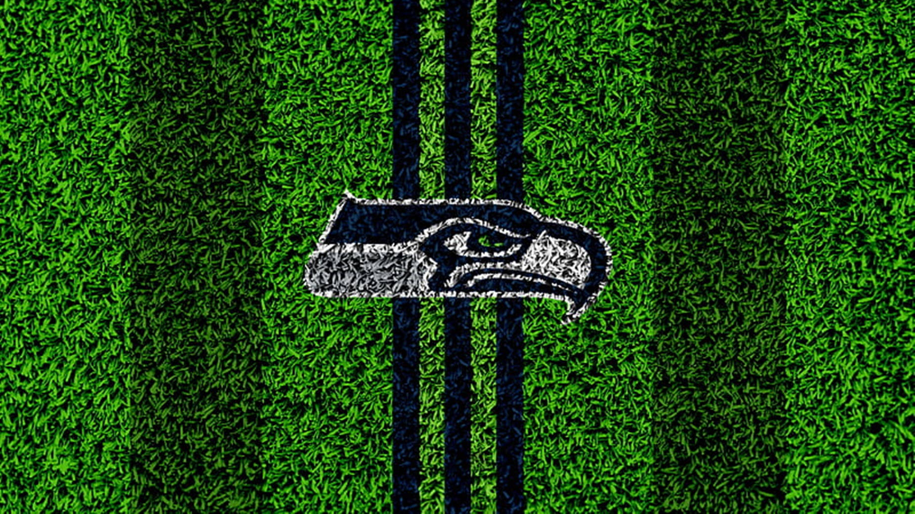 Seattle Seahawks Logo Green Grass Background Wallpaper