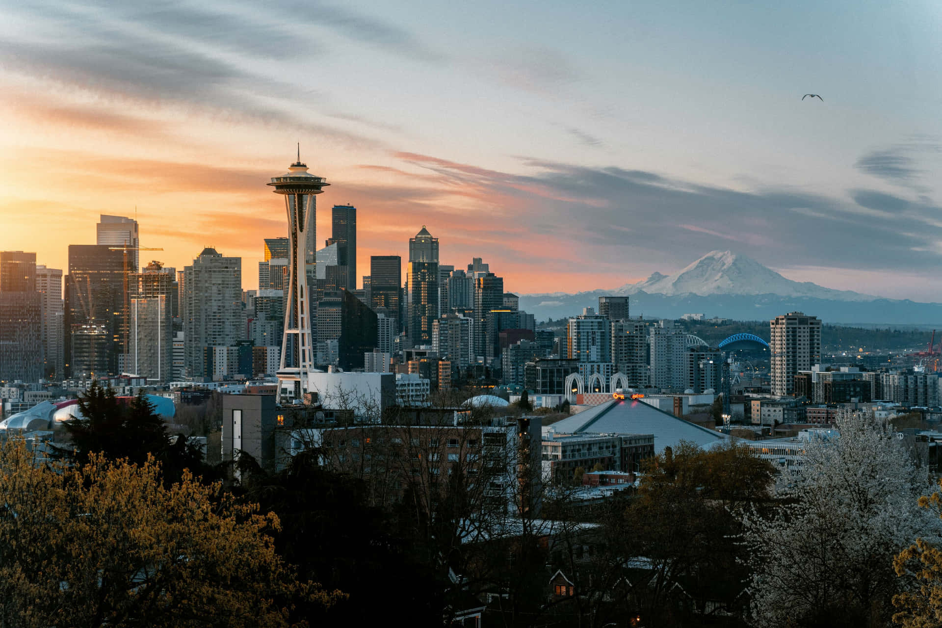Seattle Skyline Dusk Mount Rainier Background Wallpaper