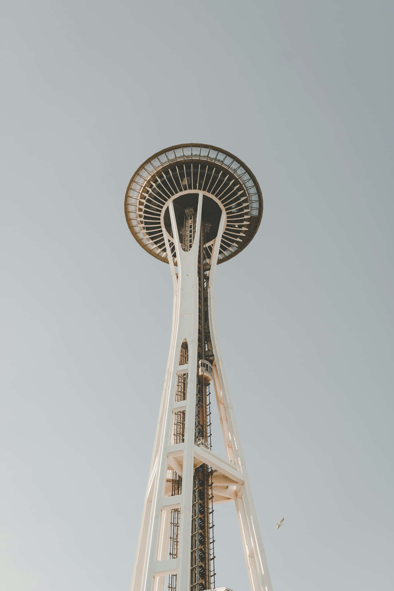 Seattle Space Needle Angled View Wallpaper