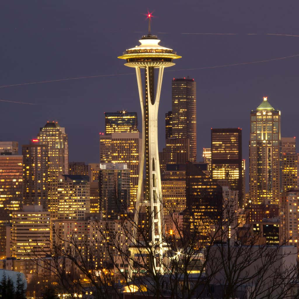 Seattle Washington Night View Wallpaper
