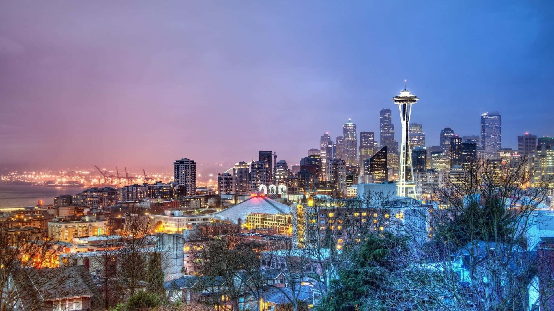 Ansichtder Skyline Von Seattle, Washington Wallpaper