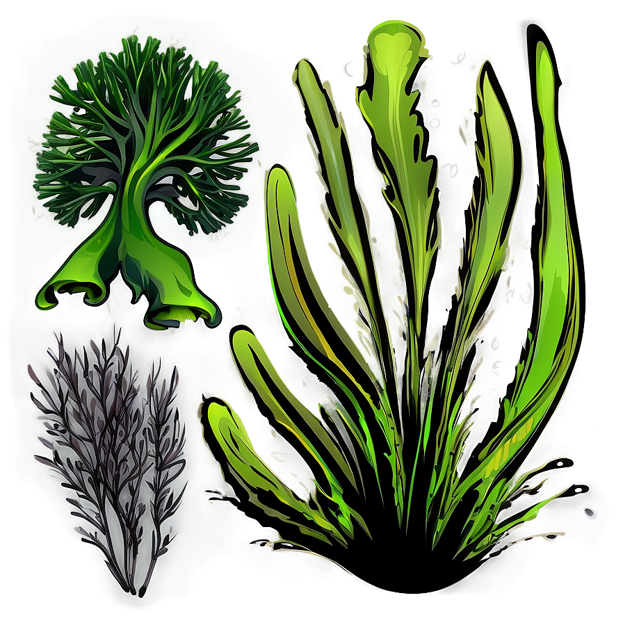Seaweed Bundle Vector Png Cqr PNG