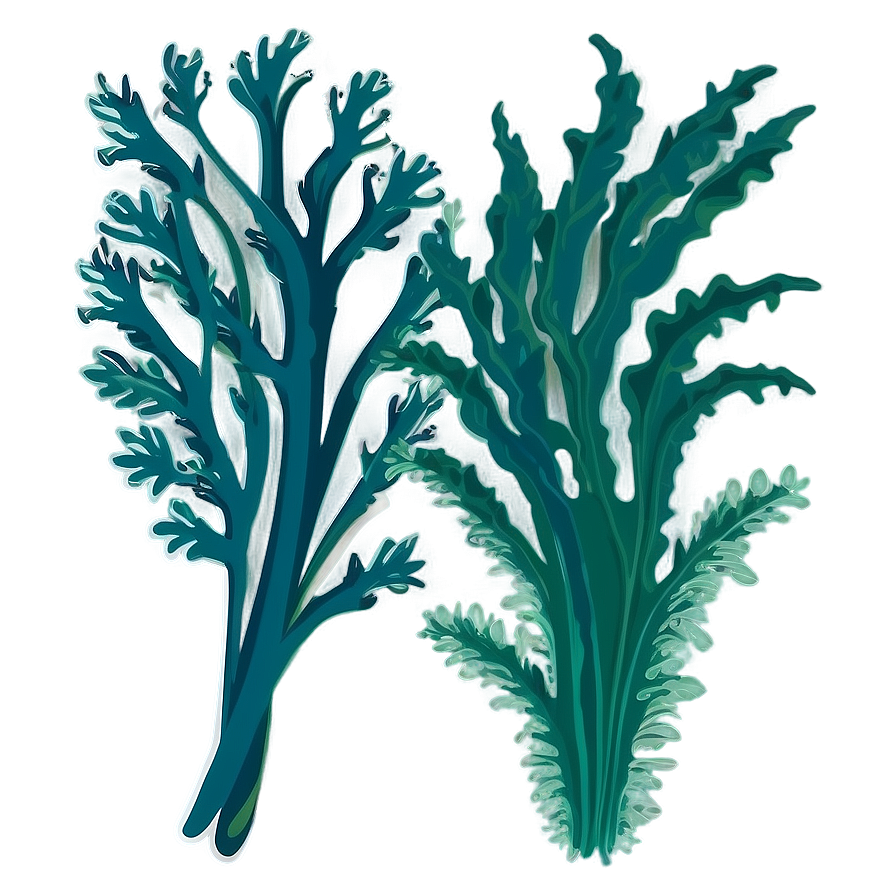 Seaweed Bundle Vector Png Xuj49 PNG