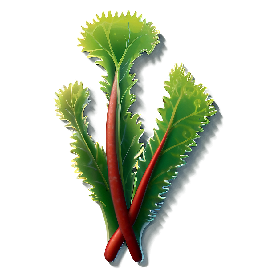 Seaweed Isolated Icon Png 05242024 PNG