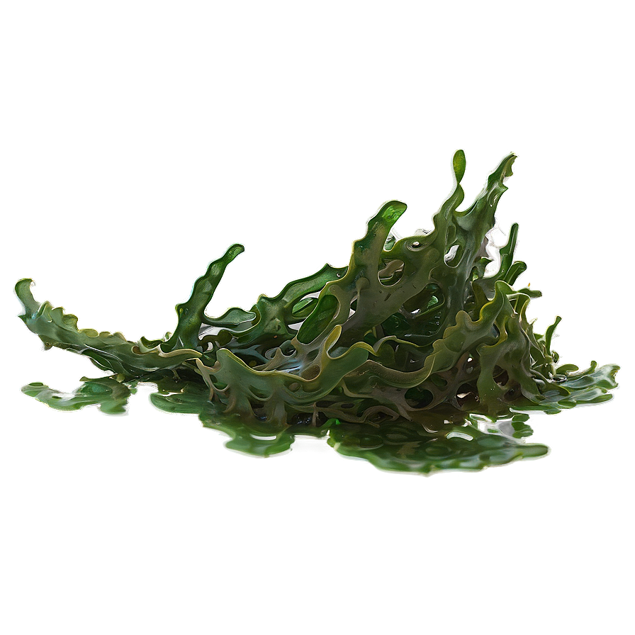 Seaweed On Ocean Floor Png Urp48 PNG