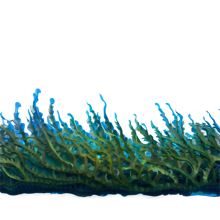 Seaweed Under Sea Png Cot92 PNG