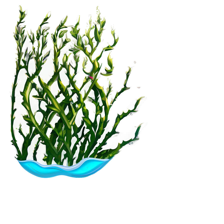 Seaweed Under Sea Png Uma67 PNG