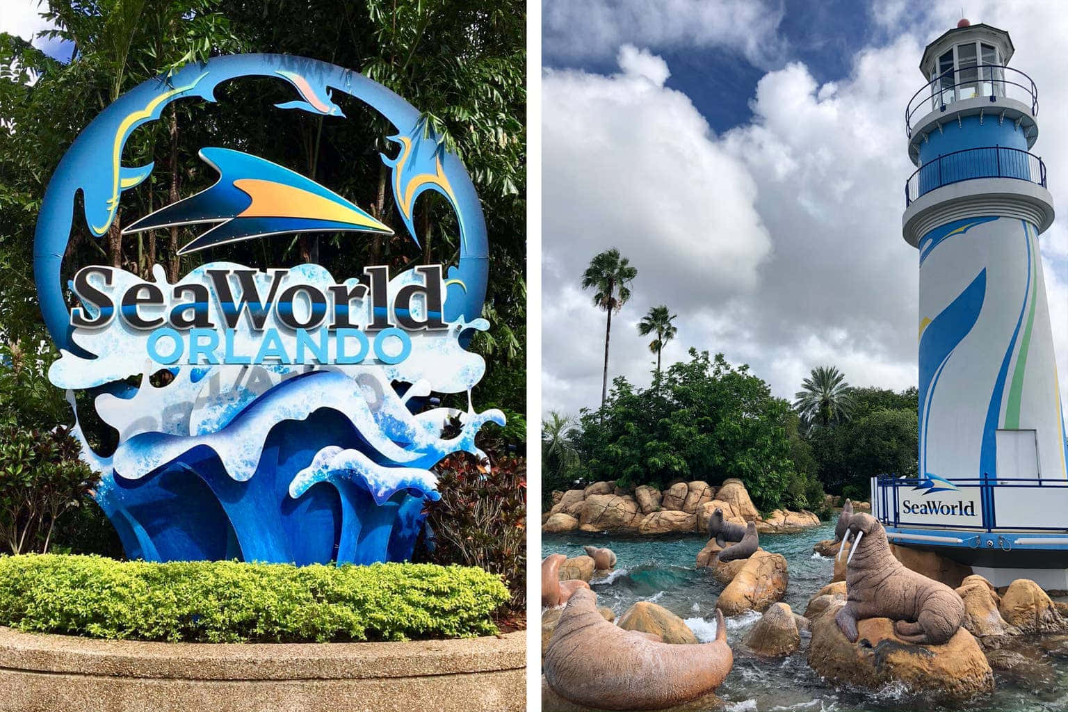 Enjoy an unforgettable day filled with fun activities and magical sights at SeaWorld!