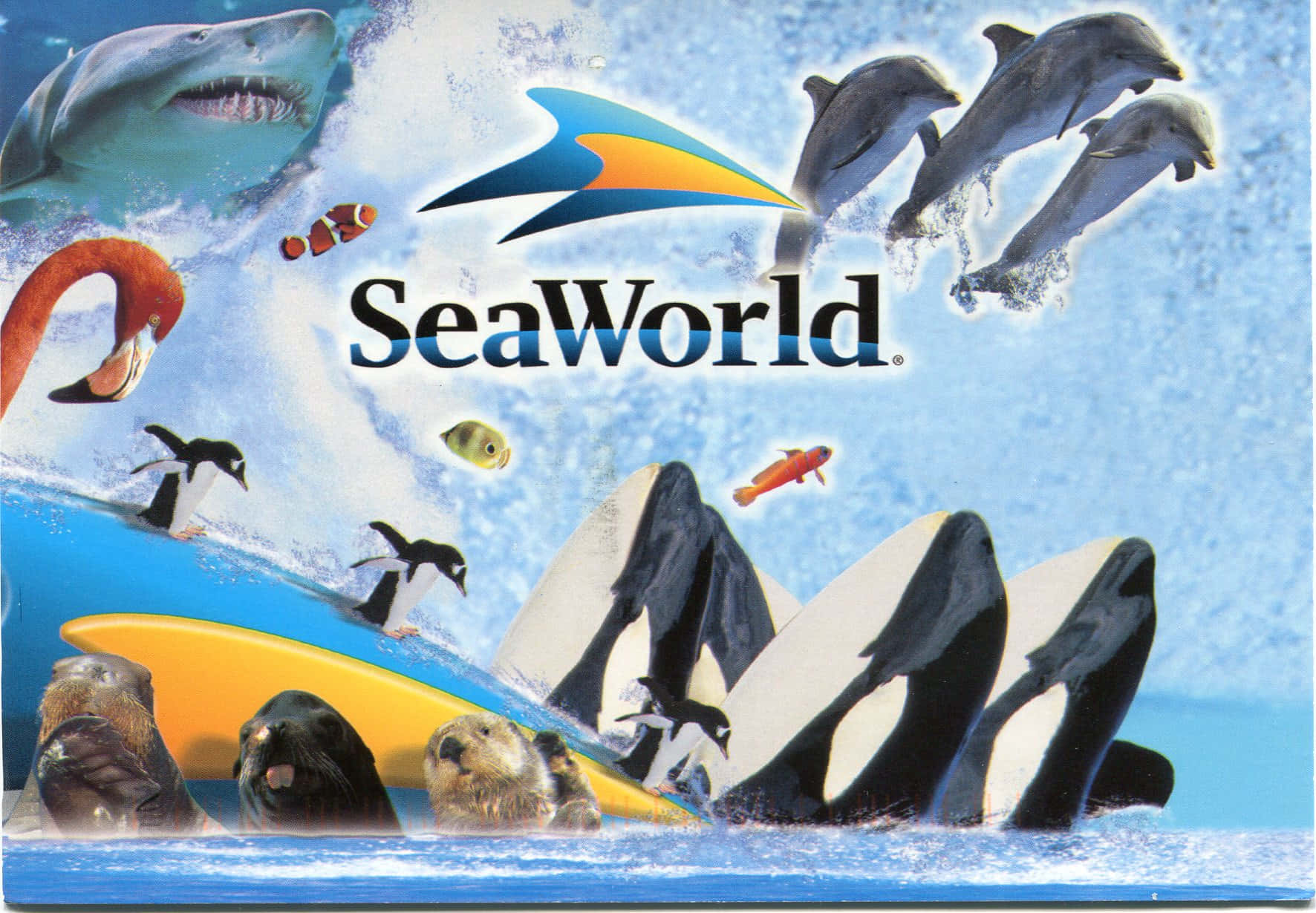 "Discover natural wonders and majestic creatures at SeaWorld"