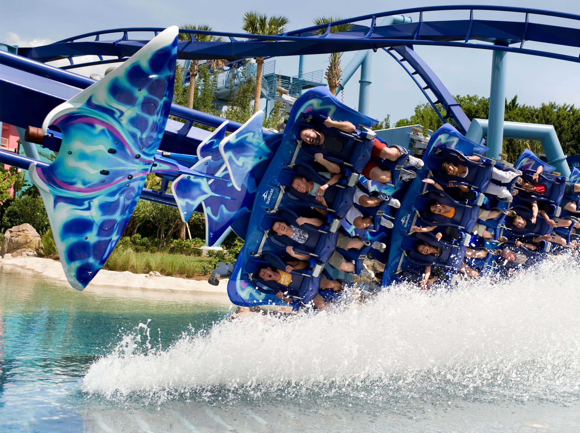 Discover a World of Exceptional Experiences at Seaworld