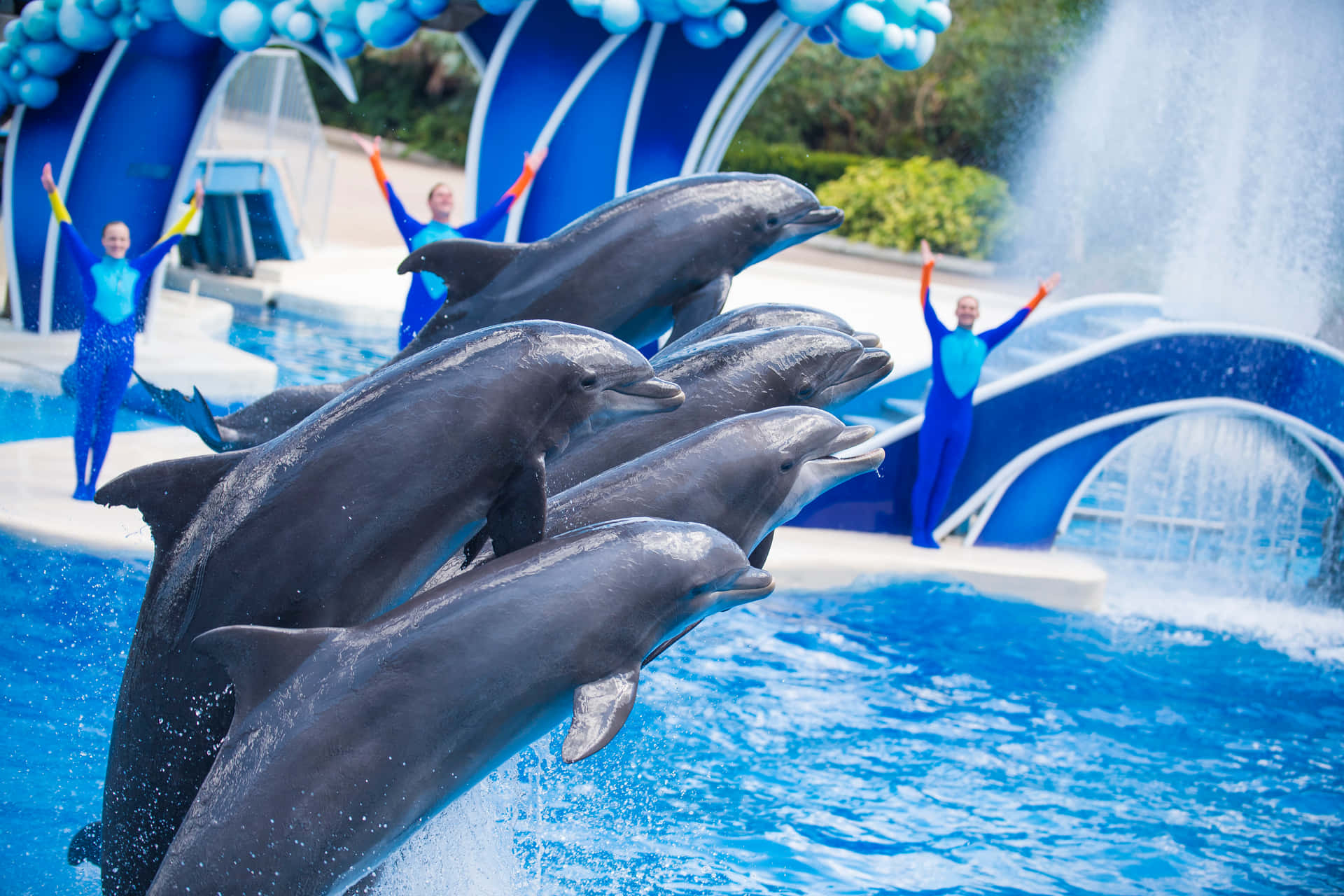 Come explore magical underwater worlds of wonder and adventure at Seaworld.