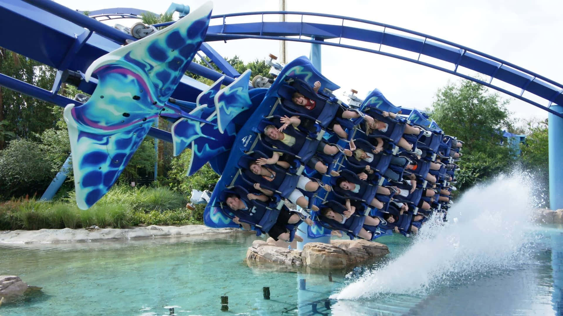 Have a whale of a time at SeaWorld!