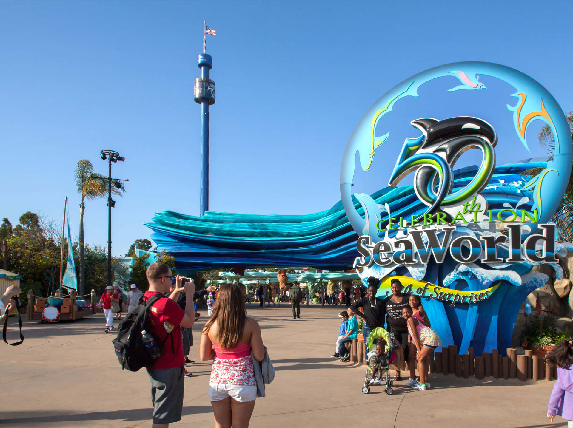 Delfinial Parco Di Disneyland