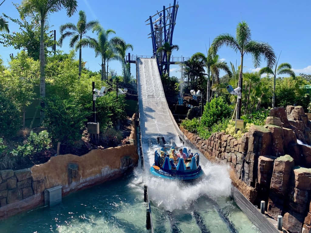 A Water Slide In A Tropical Setting