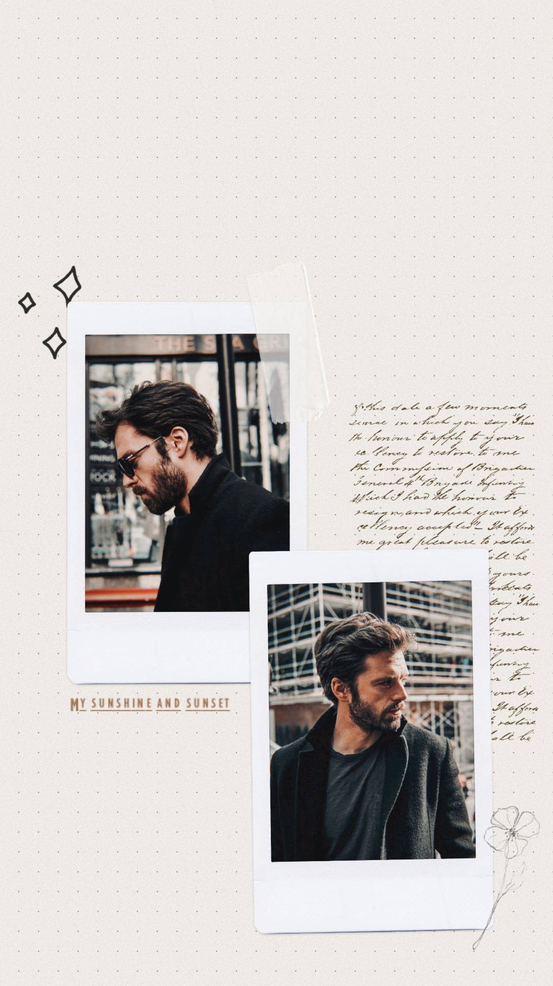 Sebastian Stan Polaroid Wallpaper