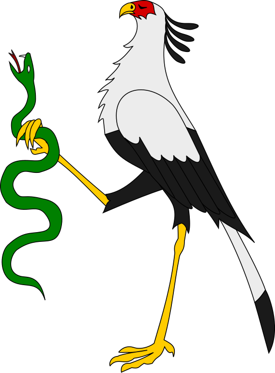 Secretary Bird Cartoon PNG