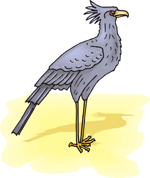 Secretary Bird Illustration PNG