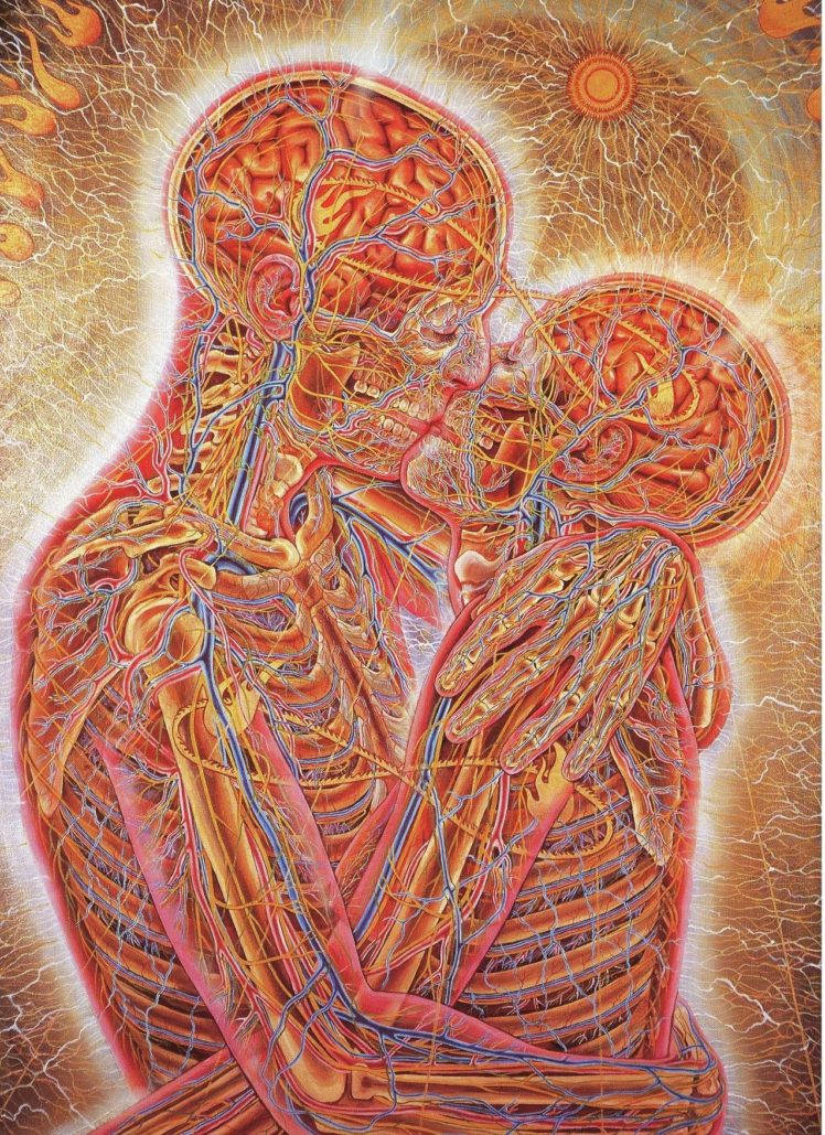 See-through Bodies Kissing Hd Wallpaper