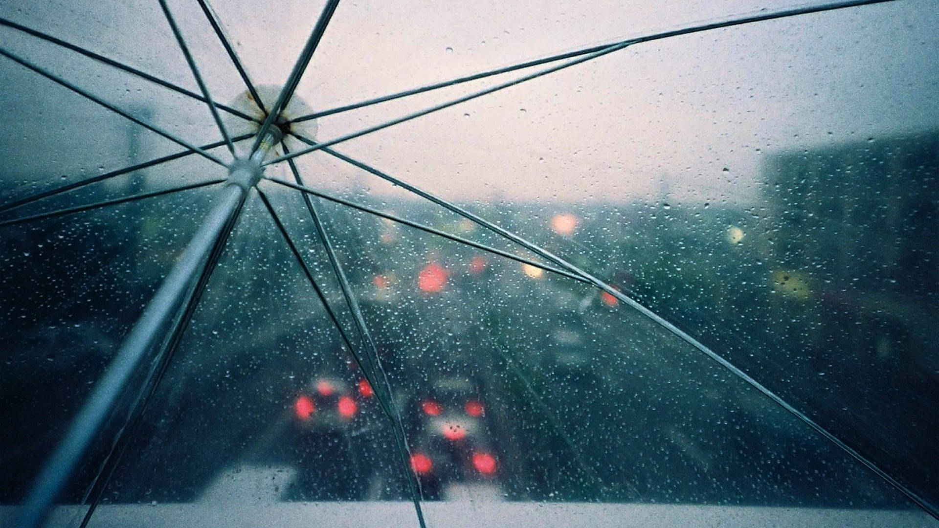 Durchsichtigerregenschirm Während Es Regnet Wallpaper