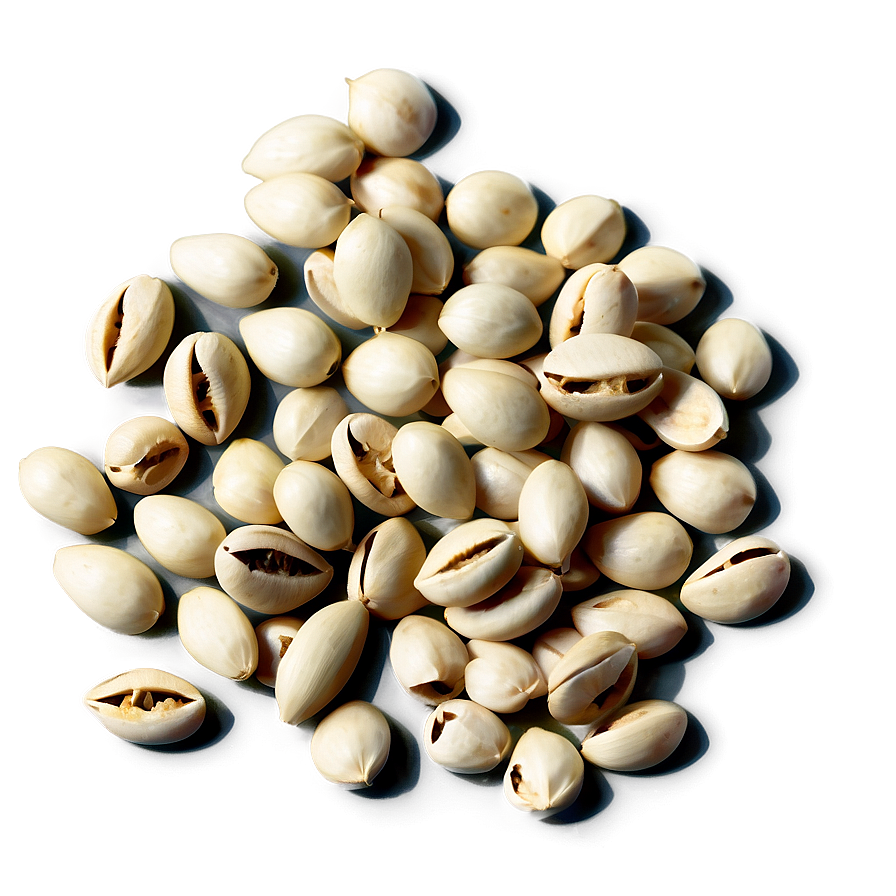 Seed B PNG