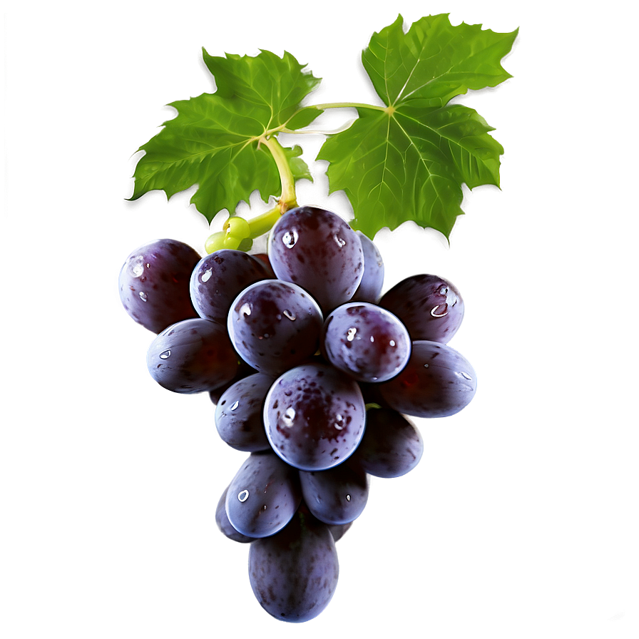Seedless Grape Png Vnm13 PNG