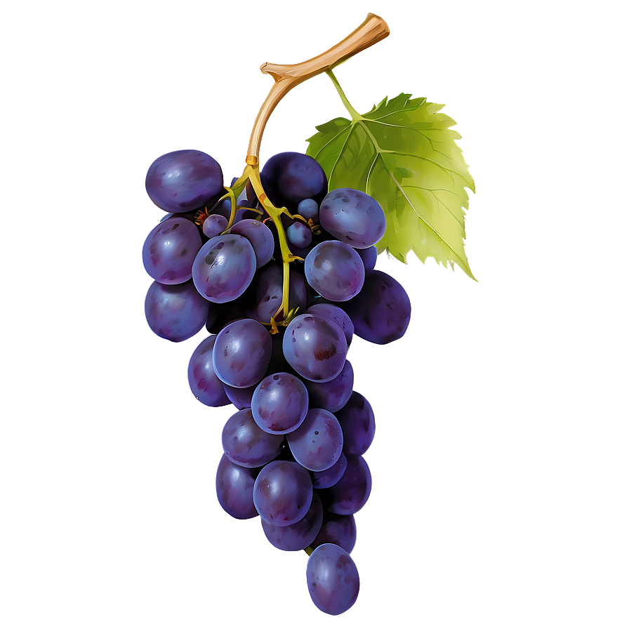 Download Seedless Grape Png Yqi89 | Wallpapers.com