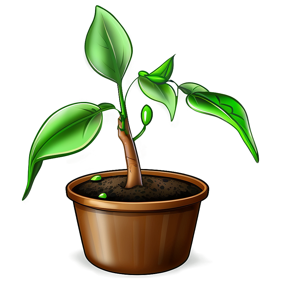 Seedling Plant Png Gvl PNG