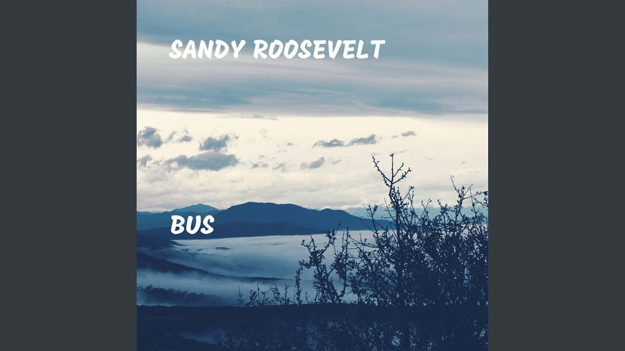 Sandyroosevelt Bus Cover Kunst Wallpaper