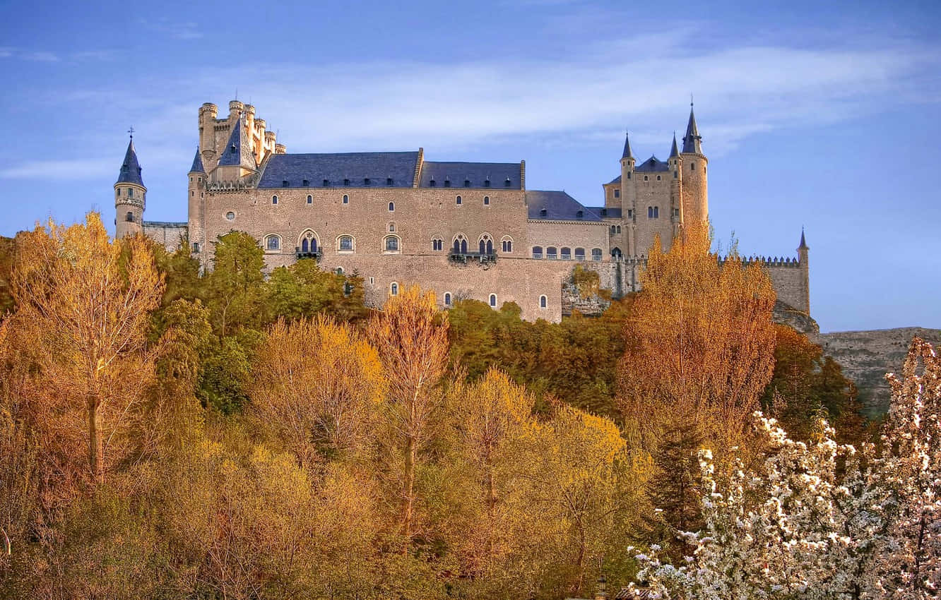 Segovia Castle With Fall Trees Wallpaper
