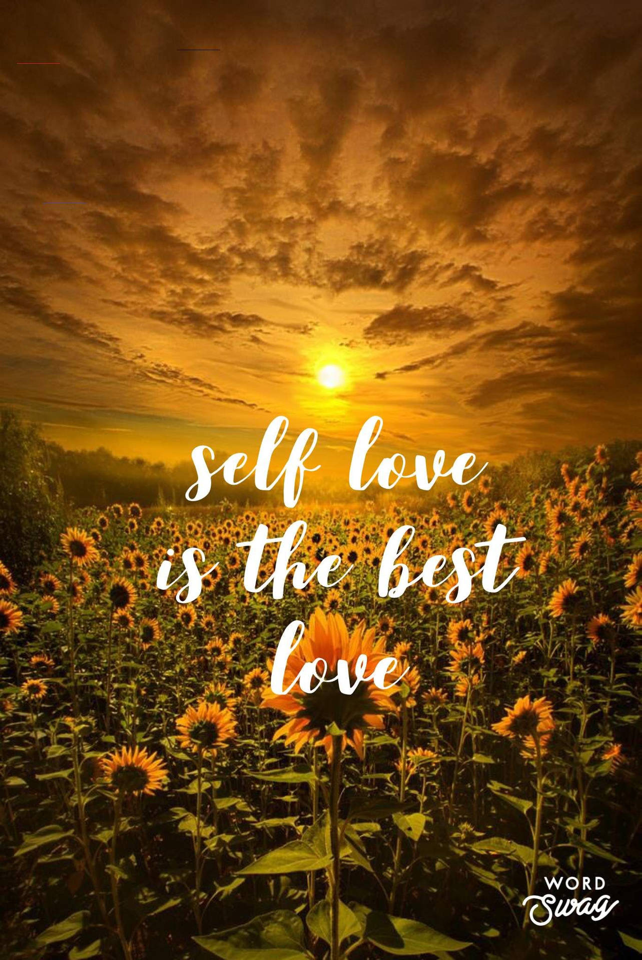 Self Love Quotes Wallpaper