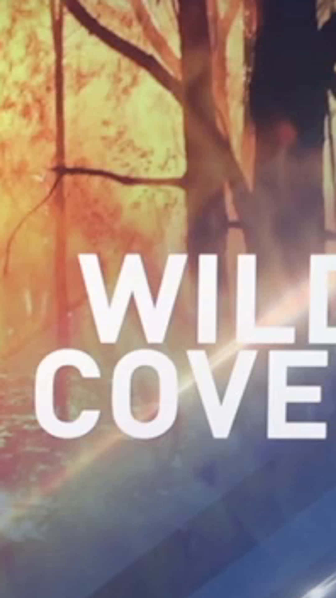 Wild Covers - A Forest In The Background Wallpaper