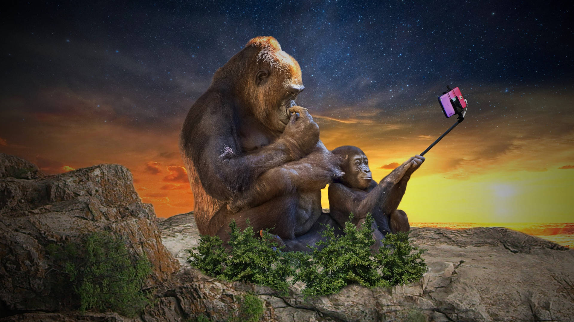 Selfie Gorilla Humor Wallpaper