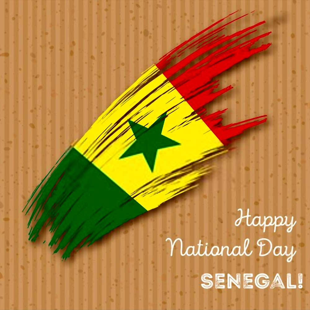 Senegal Brush Stroke Flag