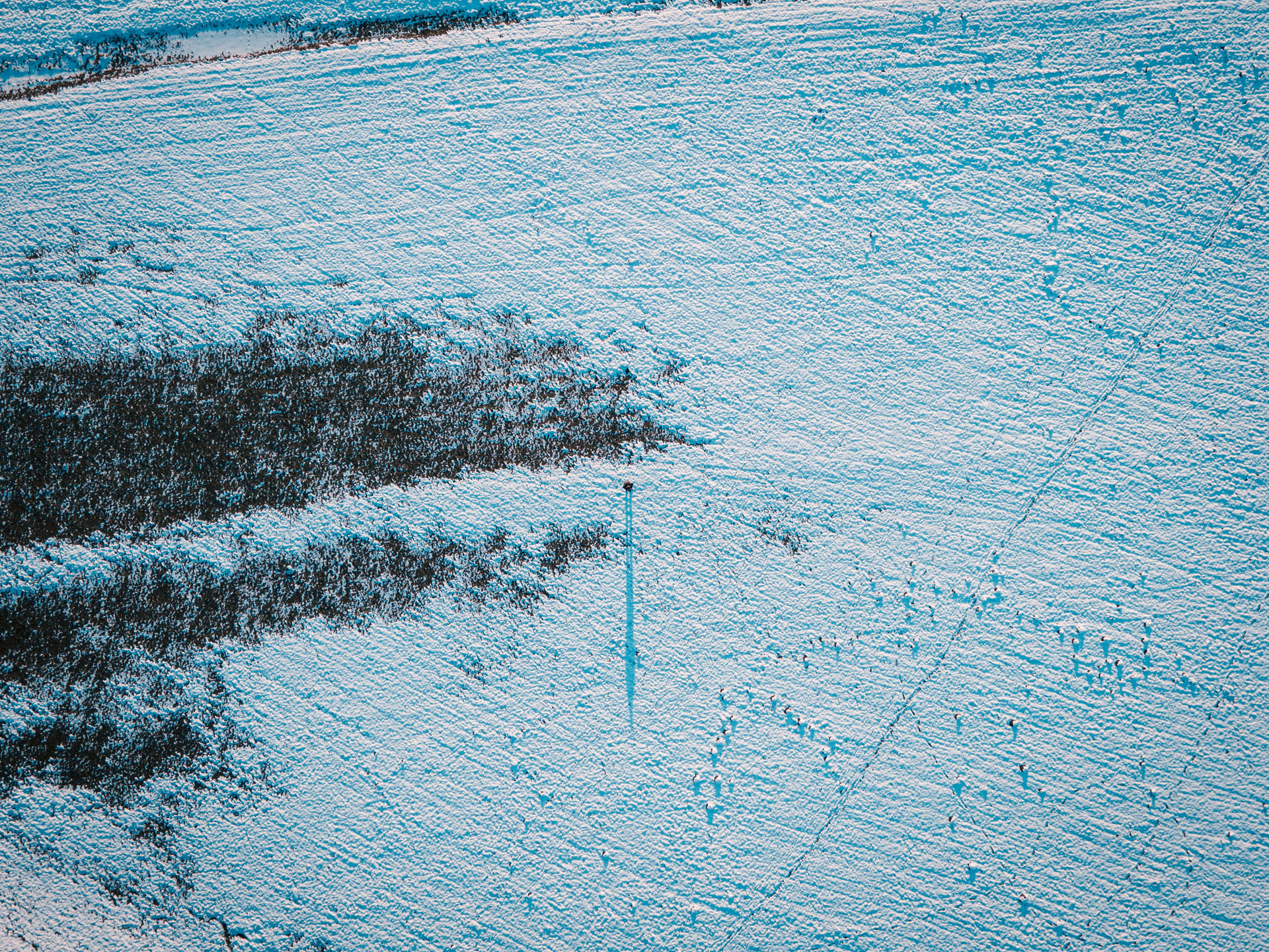 Senicica Slovenia Snowy Field Wallpaper