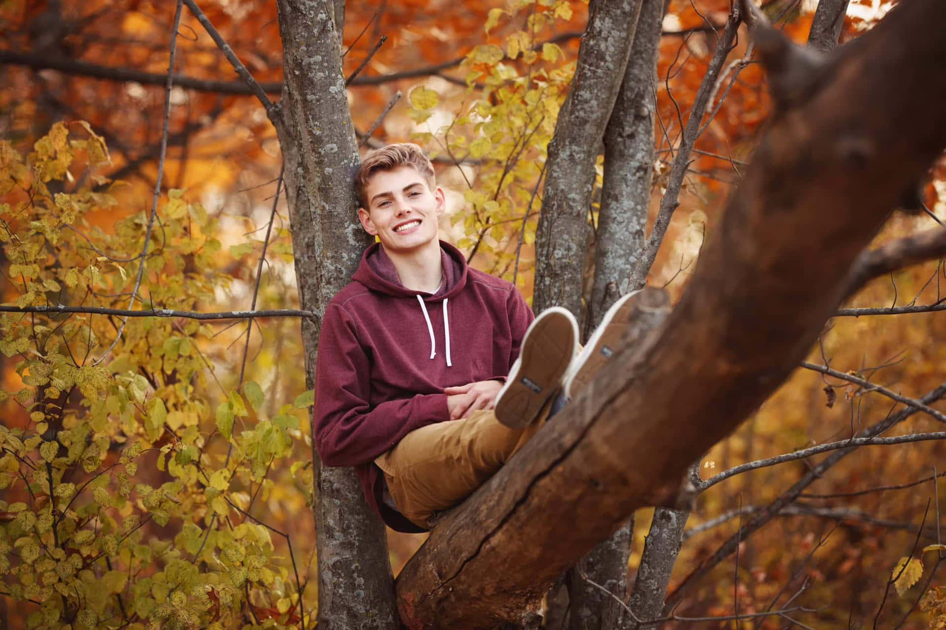 Senior Boy On Tree Fall Aesthetic Pictures
