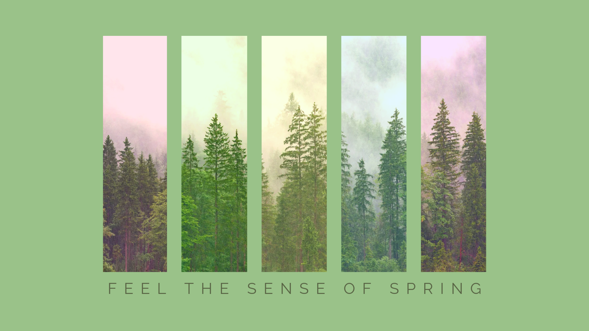 Senseof Spring Forest Panels