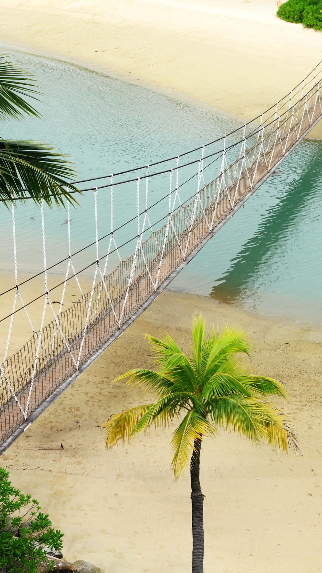 Download Sentosa Island Suspension Bridge Wallpaper | Wallpapers.com